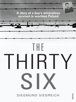 cover image of The Thirty-Six